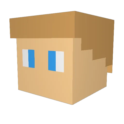 wouter9 Minecraft avatar head, 3D render