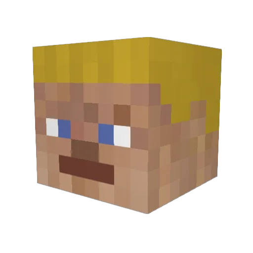 woutvd2006 Minecraft avatar head, 3D render