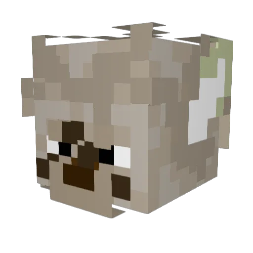wowXsip Minecraft avatar head, 3D render