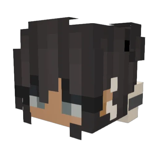 wow_olzy Minecraft avatar head, 3D render