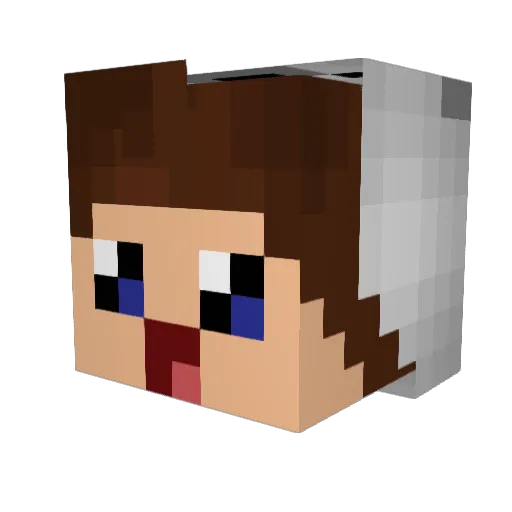 wowb Minecraft avatar head, 3D render