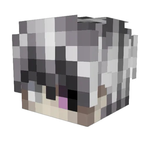 wowgf Minecraft avatar head, 3D render