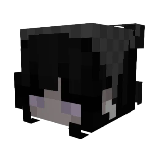 wowie54 Minecraft avatar head, 3D render