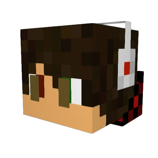 wowo2004 Minecraft avatar head, 3D render