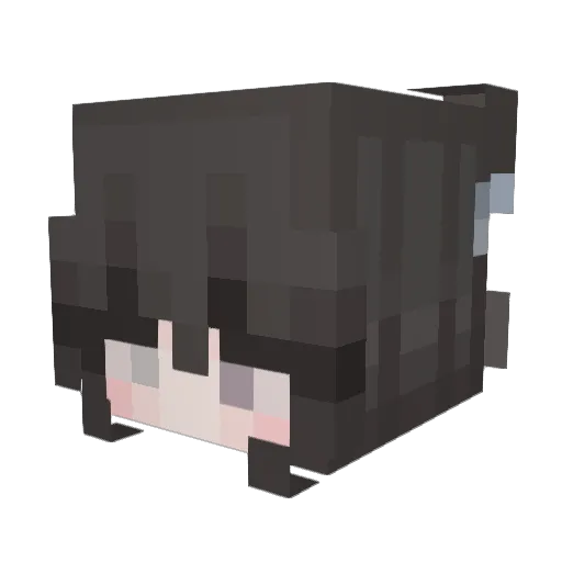 wowooo1017 Minecraft avatar head, 3D render