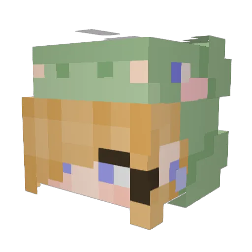 wowza_38 Minecraft avatar head, 3D render