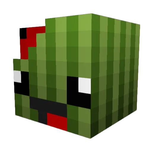 wozah2 Minecraft avatar head, 3D render
