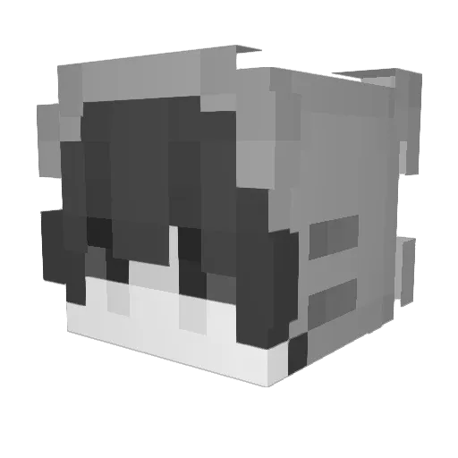 wp_me_daszek Minecraft avatar head, 3D render