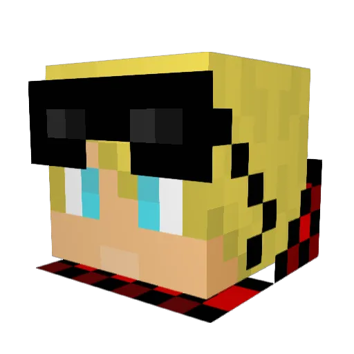 wpad24 Minecraft avatar head, 3D render