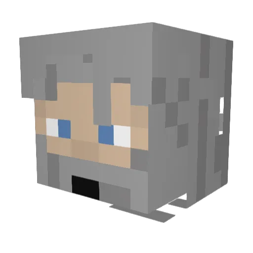 wpass13 Minecraft avatar head, 3D render
