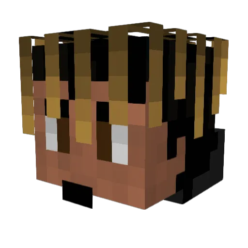 wplays4 Minecraft avatar head, 3D render