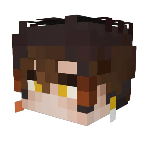wpx123456 Minecraft avatar head, 3D render
