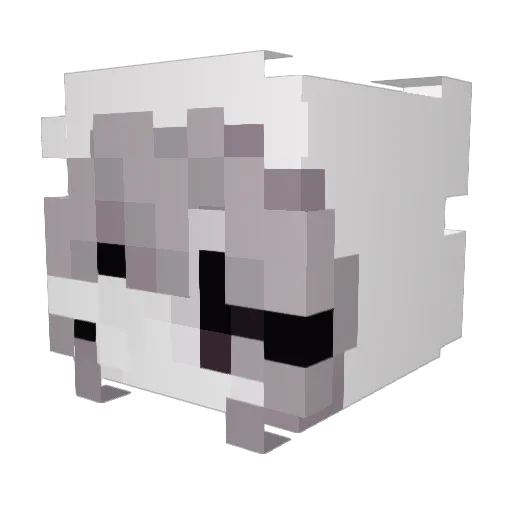 wq5shhLj Minecraft avatar head, 3D render