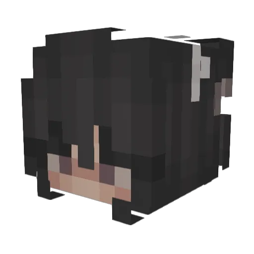 wqfflesx Minecraft avatar head, 3D render