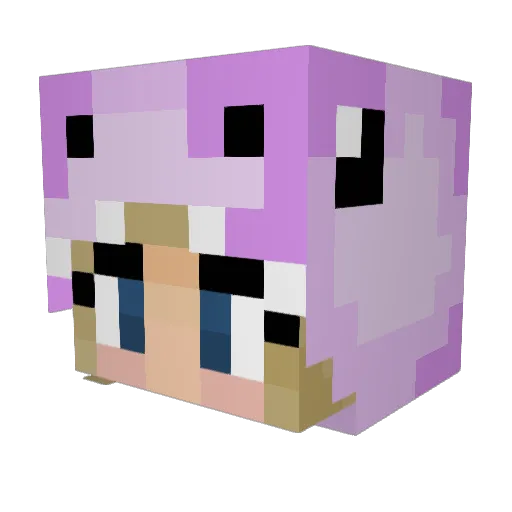 wqlf_ Minecraft avatar head, 3D render
