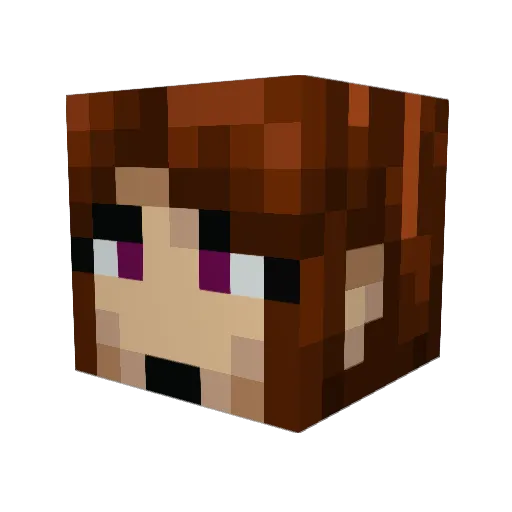 wqt_ Minecraft avatar head, 3D render