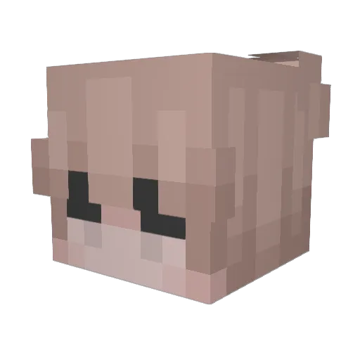 wr3w Minecraft avatar head, 3D render
