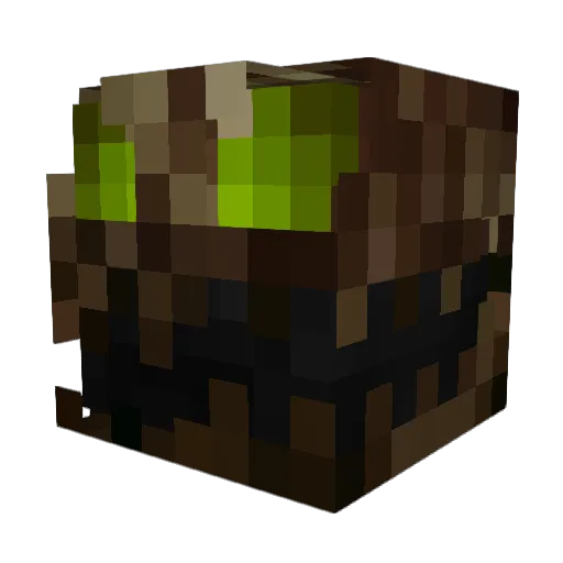 wradar07 Minecraft avatar head, 3D render