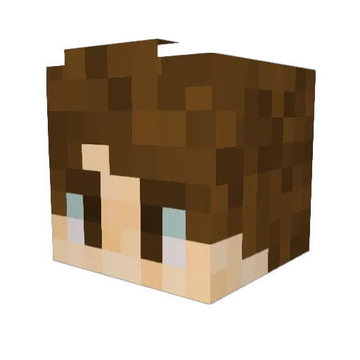 wrappingbacon65 Minecraft avatar head, 3D render