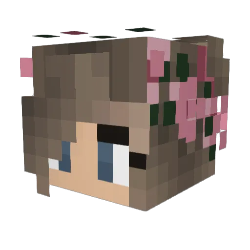 wrcix Minecraft avatar head, 3D render