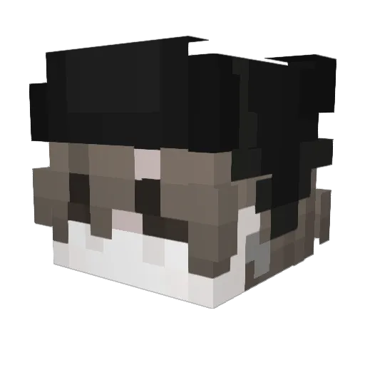 wrdddddddd Minecraft avatar head, 3D render