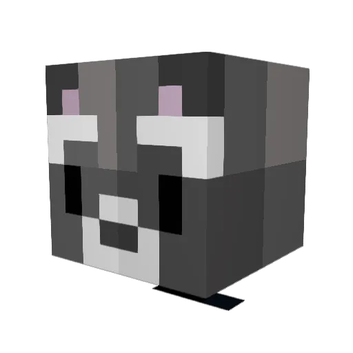 wrenaira Minecraft avatar head, 3D render