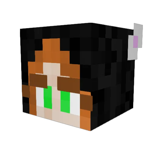 wrenata Minecraft avatar head, 3D render