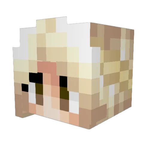 wrighkei Minecraft avatar head, 3D render