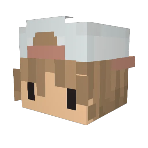 wrightced Minecraft avatar head, 3D render