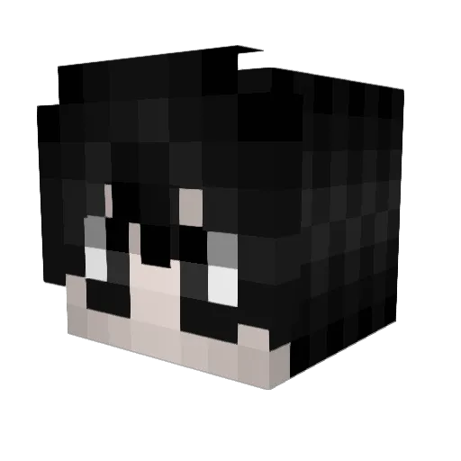 wril Minecraft avatar head, 3D render