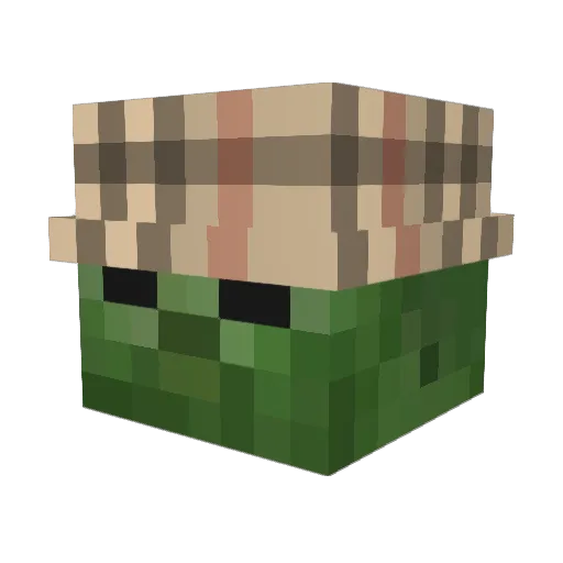 wrionex Minecraft avatar head, 3D render