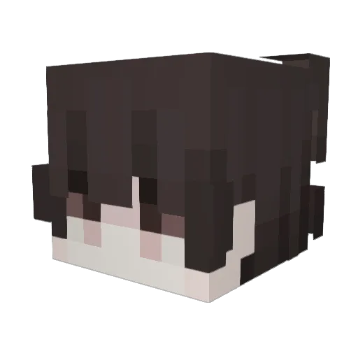 writting Minecraft avatar head, 3D render