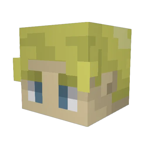 wrld_Dani Minecraft avatar head, 3D render