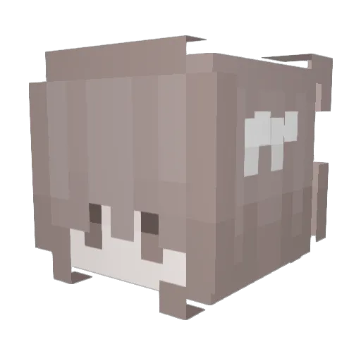 wrnglve Minecraft avatar head, 3D render