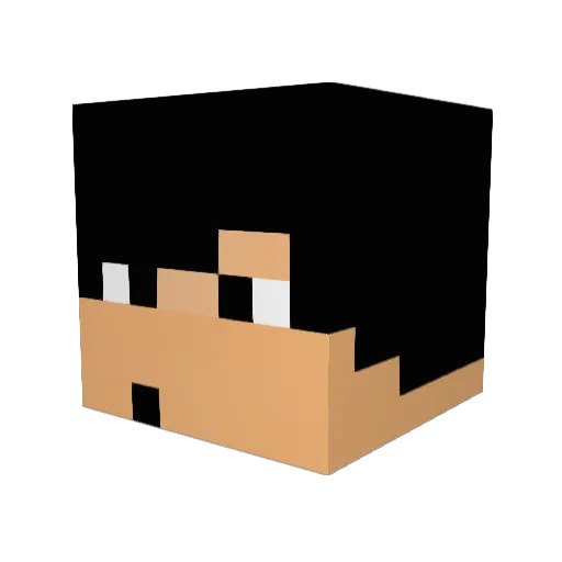 wrofoor Minecraft avatar head, 3D render