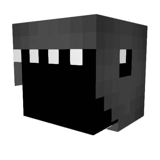 wrongaccount666 Minecraft avatar head, 3D render