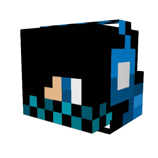 wrongerbirch3 Minecraft avatar head, 3D render