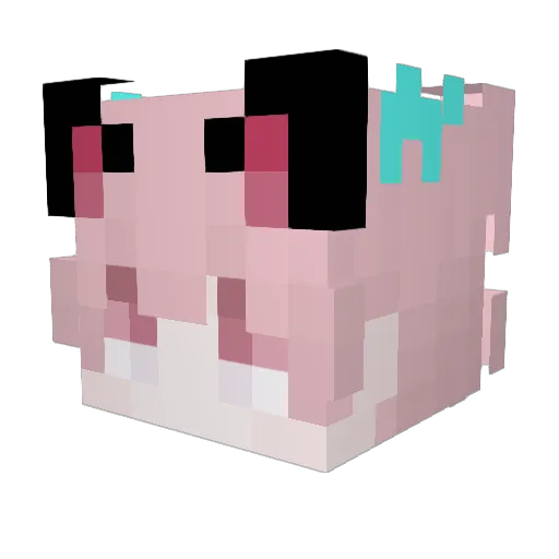 wroxry Minecraft avatar head, 3D render