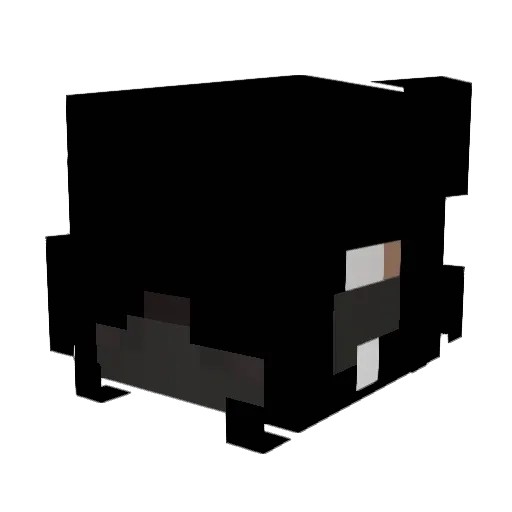 wrozkakamil Minecraft avatar head, 3D render