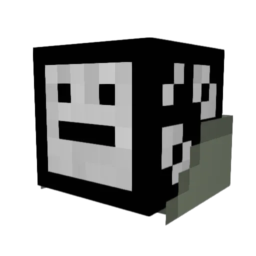 wrqnb666 Minecraft avatar head, 3D render