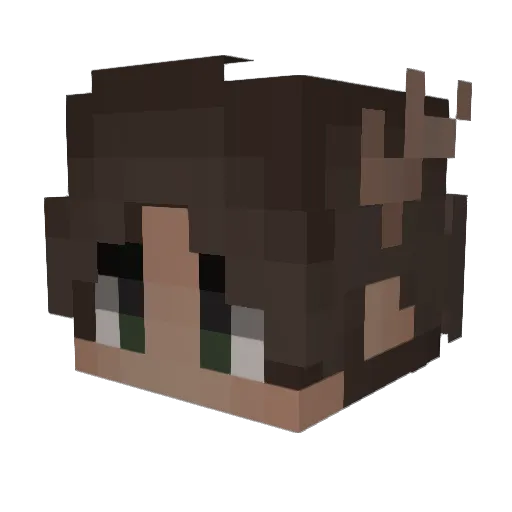 wrtxt Minecraft avatar head, 3D render