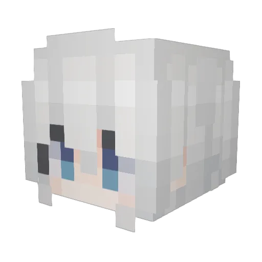wrwr123 Minecraft avatar head, 3D render