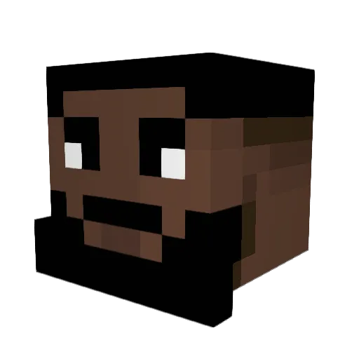 wrwr55 Minecraft avatar head, 3D render