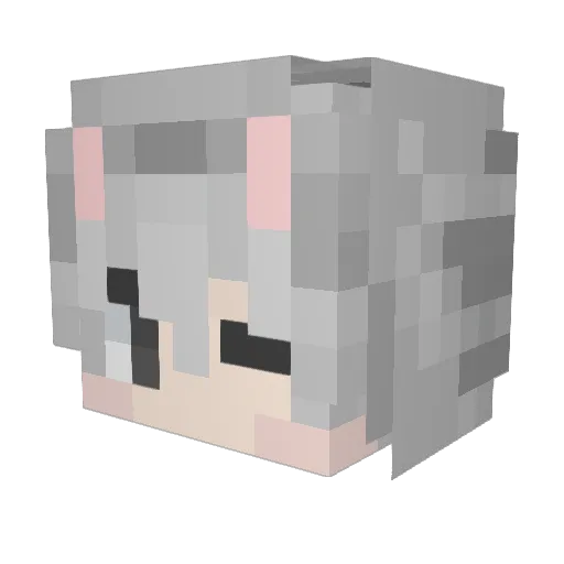 wrxzz Minecraft avatar head, 3D render