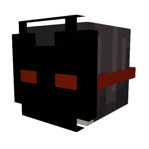 wrynnn Minecraft avatar head, 3D render
