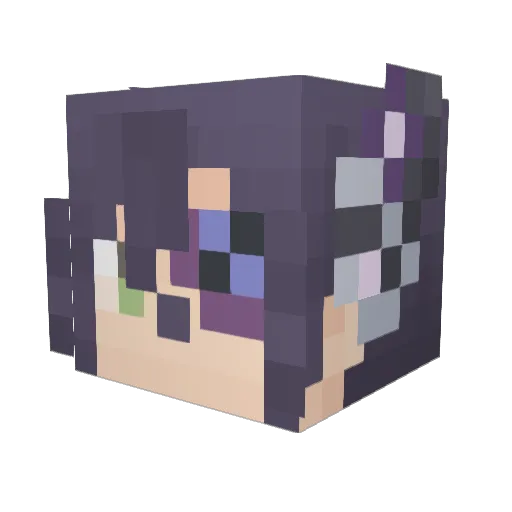 ws410ws Minecraft avatar head, 3D render