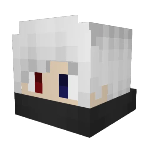 ws77 Minecraft avatar head, 3D render
