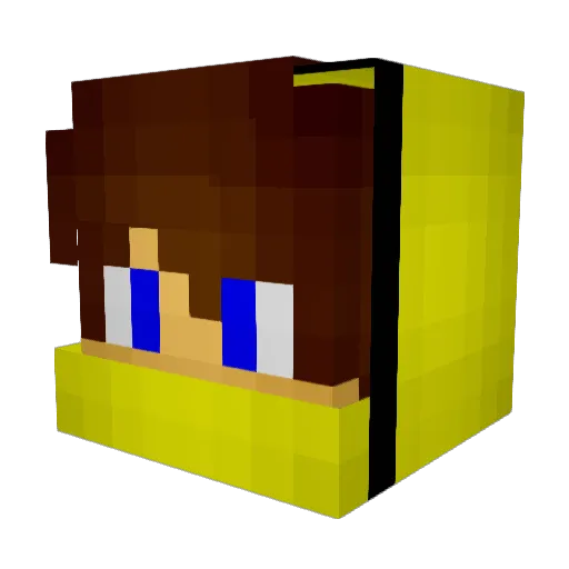 wsMadness Minecraft avatar head, 3D render