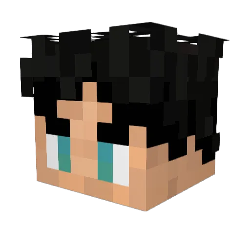 wsah Minecraft avatar head, 3D render