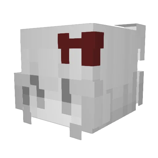 wsbcush Minecraft avatar head, 3D render
